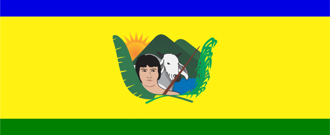 Bandera de Machiques de Perijá
