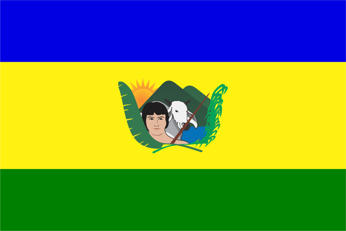 Bandera de Machiques de Perijá